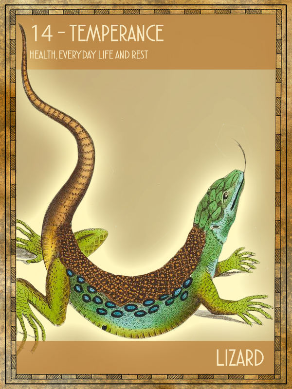 Animal Tarot Card:  Lizard