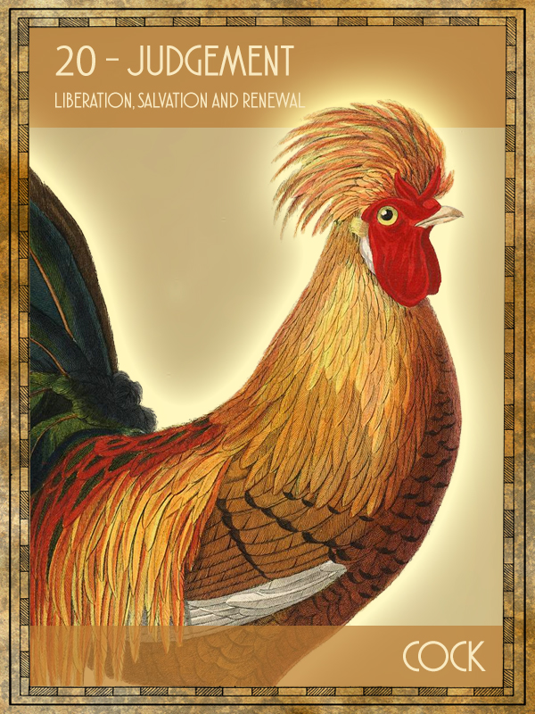 Animal Tarot Card:  Cock