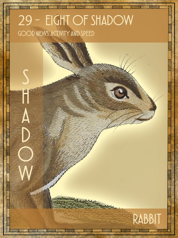 Animal Tarot Card:  Rabbit