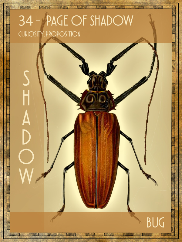 Animal Tarot Card:  Bug