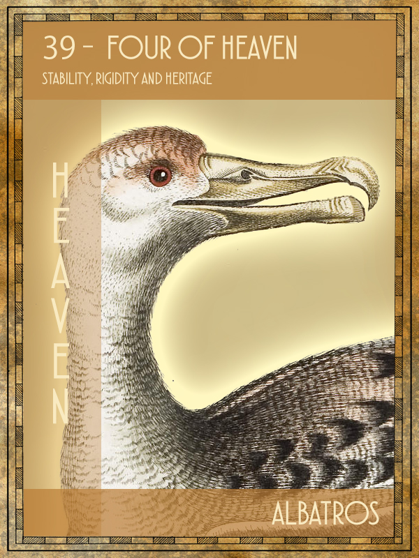 Animal Tarot Card:  Albatross