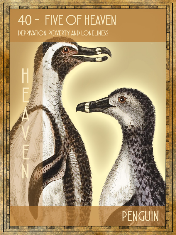 Animal Tarot Card:  Penguin
