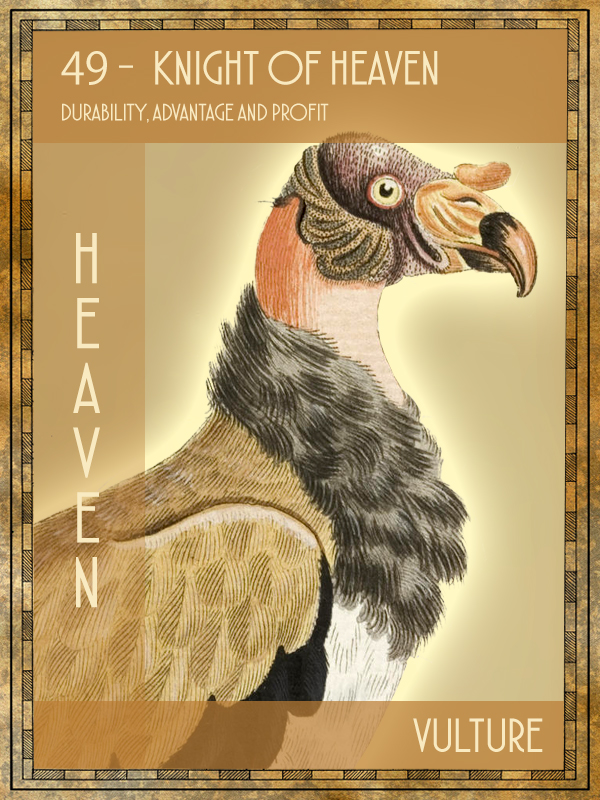 Animal Tarot Card:  Vulture