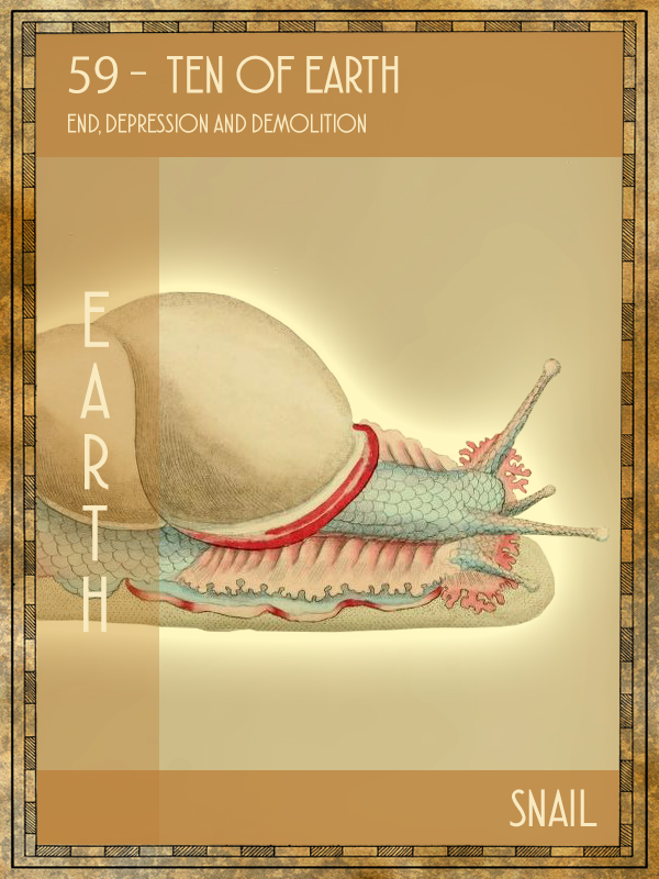Animal Tarot Card:  Snail