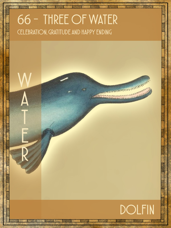 Animal Tarot Card:  Dolphin