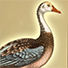 Animal Tarot Goose