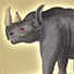 Animal Tarot Rhino