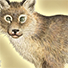 Animal Tarot Lynx