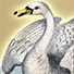 Animal Tarot Swan