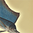 Animal Tarot Swordfish