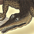 Animal Tarot Crocodile