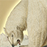 Animal Tarot Polar bear
