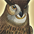 Animal Tarot Owl