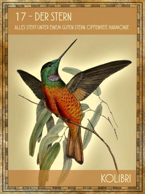 Tiertarot Karte:  Kolibri