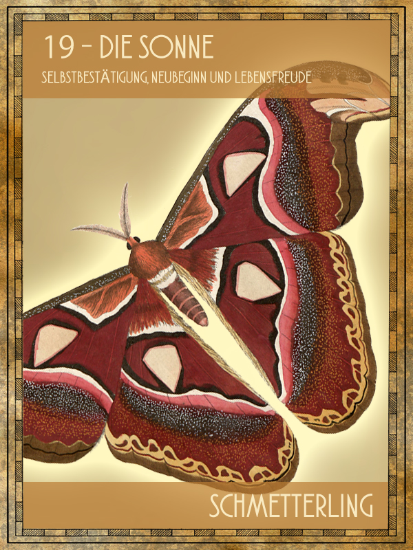 Tiertarot Karte:  Schmetterling