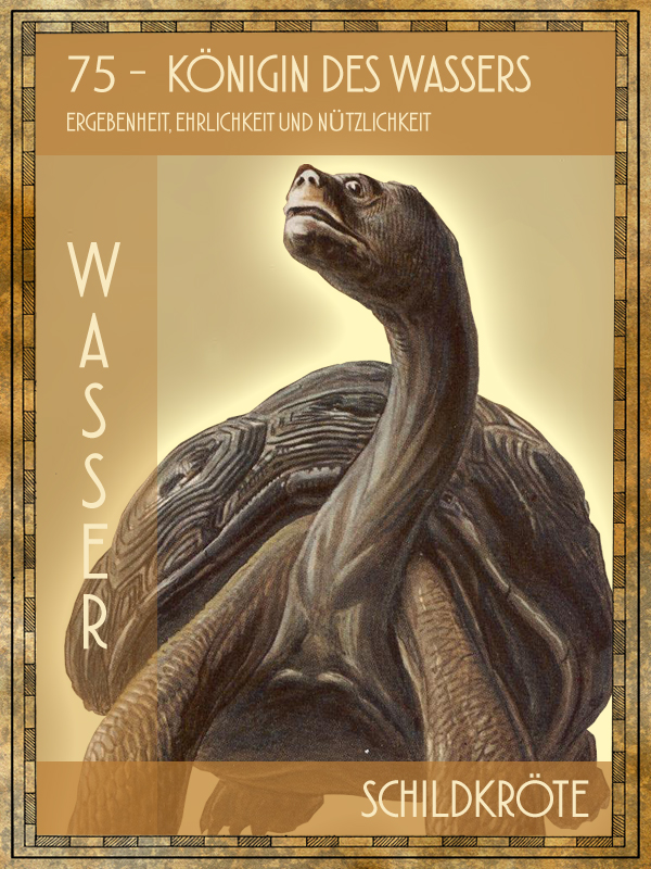 Tiertarot Karte:  Schildkröte